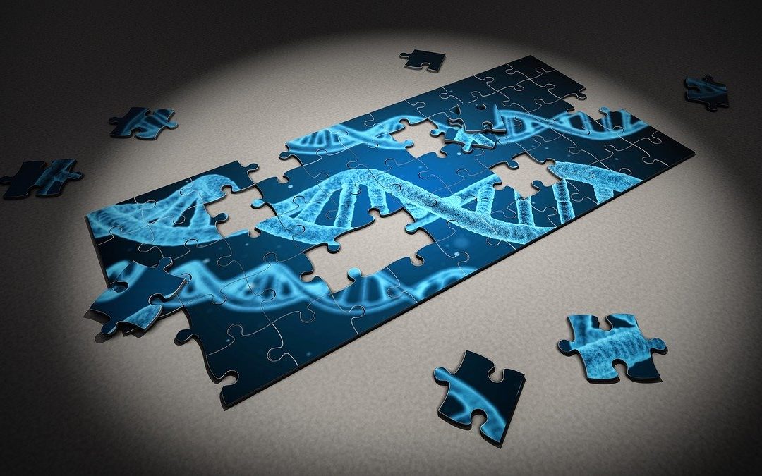 Comment utiliser les tests ADN pour la recherche généalogique